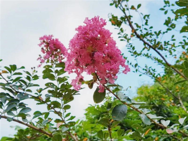 呼吸鮮氧,踐行公益——廣東博皓公益活動:星溪線公益環(huán)保活動 -5