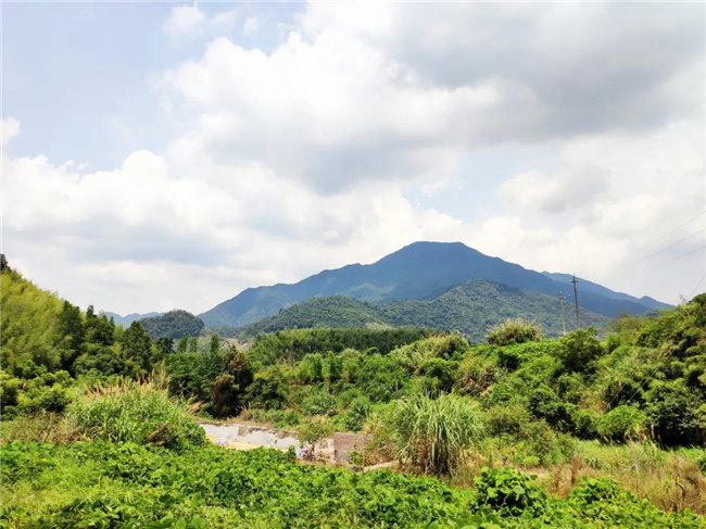 呼吸鮮氧,踐行公益——廣東博皓公益活動:星溪線公益環(huán)保活動 -6