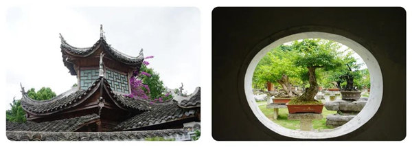 多彩貴州，魅力天下，2021年廣東博皓快樂貴州行-14