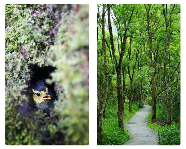 多彩貴州，魅力天下，2021年廣東博皓快樂貴州行-24