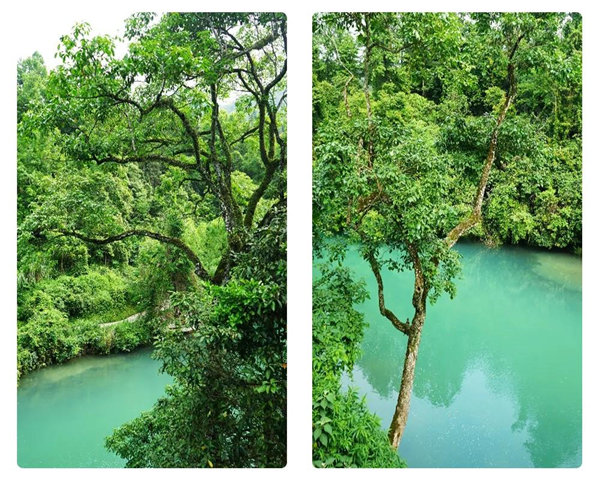 多彩貴州，魅力天下，2021年廣東博皓快樂貴州行-29