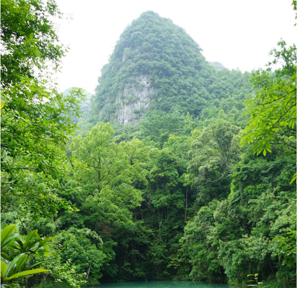 賞華夏大地,游多彩貴州--2021年廣東博皓快樂行-2