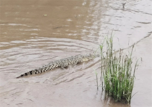 廿載風云一路行，馬來風情共見證&mdash;&mdash;2024廣東博皓馬來西亞之旅   -15