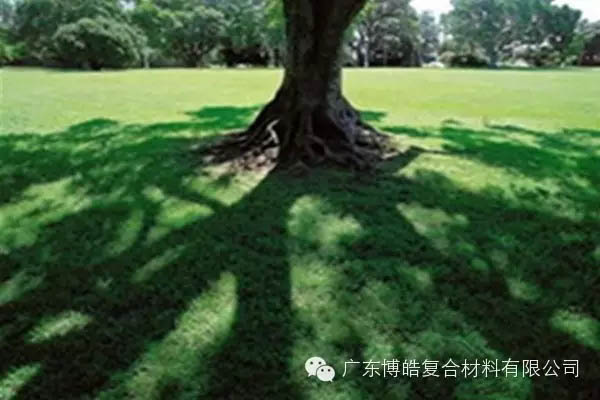 【博皓感悟】欲為大樹，莫與草爭-6